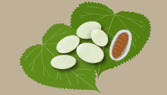 小满象征着人生什么 小满节气的人生寓意你知道吗