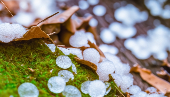 天津未来两日将迎降水降温 可能伴随着短时大风和局地小冰雹天气