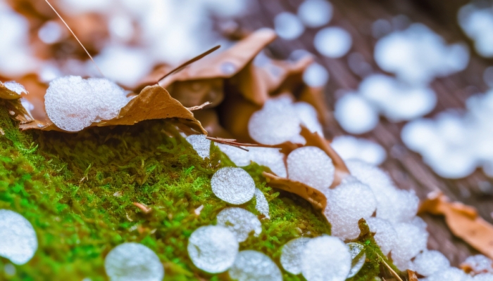 北京发布冰雹黄色预警 分散性冰雹天气来袭