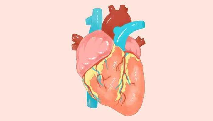 全国首例心脏不停跳人工心脏植入 可大大减少手术对患者身体的损伤