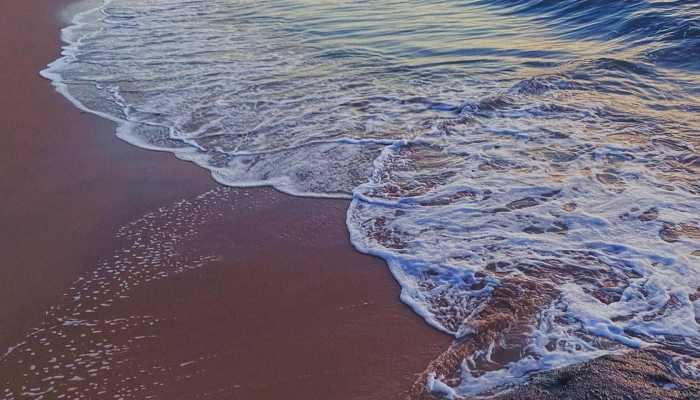 浙江多地海边现“蓝眼泪”奇观 知道吗这是一种赤潮