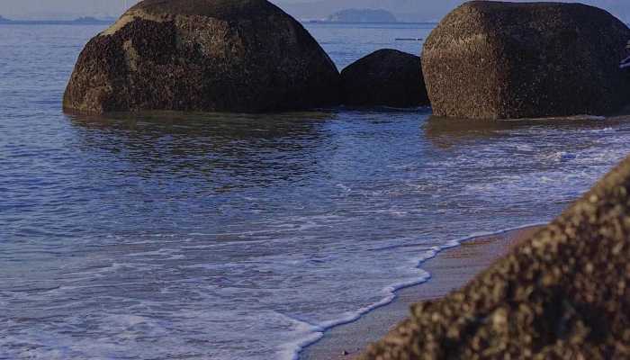 浙江多地海边现“蓝眼泪”奇观 知道吗这是一种赤潮