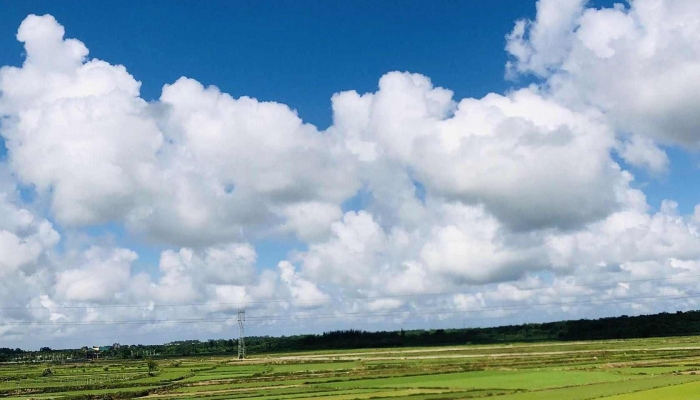 重庆今日最高气温冲33℃ 明后两天部分地区有阵雨