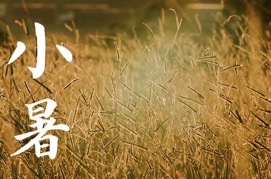 2023年小暑 应该吃什么时令水果 2023年小暑 应该吃什么时令水果