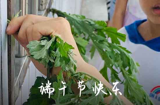 端午节安康的祝福语 端午节安康的句子发朋友圈