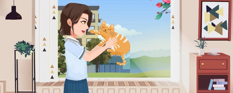 十大猫粮品牌排行榜 猫粮十大品牌排行榜