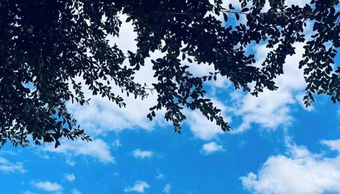 今起三天山东雷雨大风天气频繁 济南明大风达7级