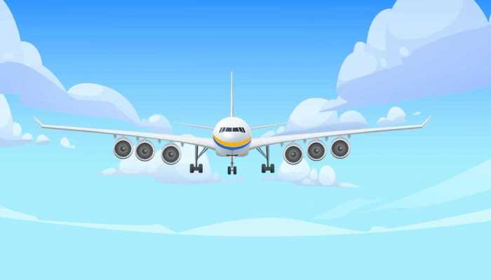 飞机失事超两周后找到4名幸存儿童 真的是奇迹