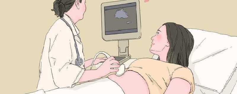 去年520带薪放假企业公布造娃成绩单是怎么回事 去年520带薪放假企业公布造娃成绩单具体情况