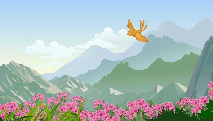 初夏径山花海美似莫奈花园 杭州径山怎么去