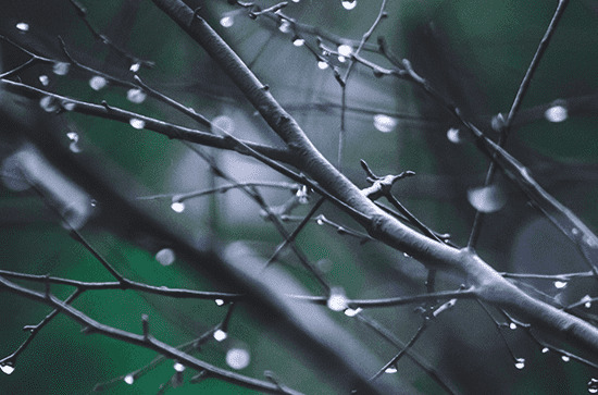 黑龙江19日雨水上线 夜间雨势增强明天部分地区有大雨 黑龙江19日雨水上线 夜间雨势增强明天部分地区有大雨