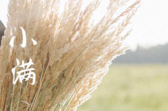 2023年明天小满是几点