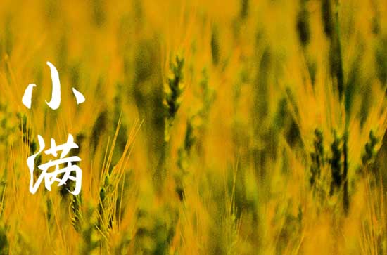  小满湿热渐增 清热祛湿正当时 