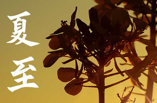 2023年夏至唯美诗词 关于夏至的古诗词有哪些