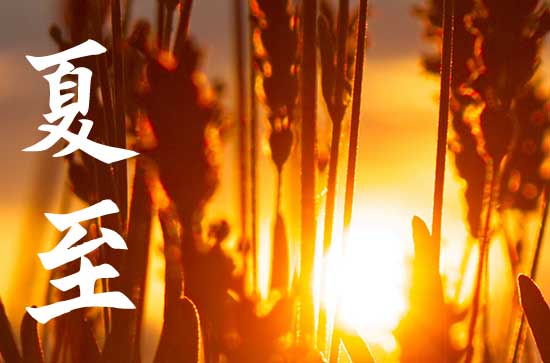 2023夏至节气是几号 夏至节气是什么意思 2023夏至节气是几号 夏至节气是什么意思