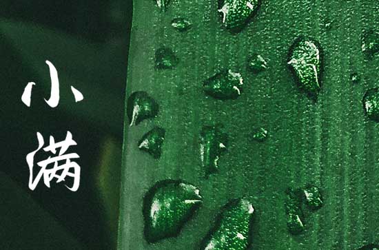 小满下雨有什么说法 小满下雨有什么说法