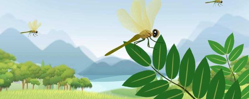 公众号取名大全 公众号名字推荐有创意一点的