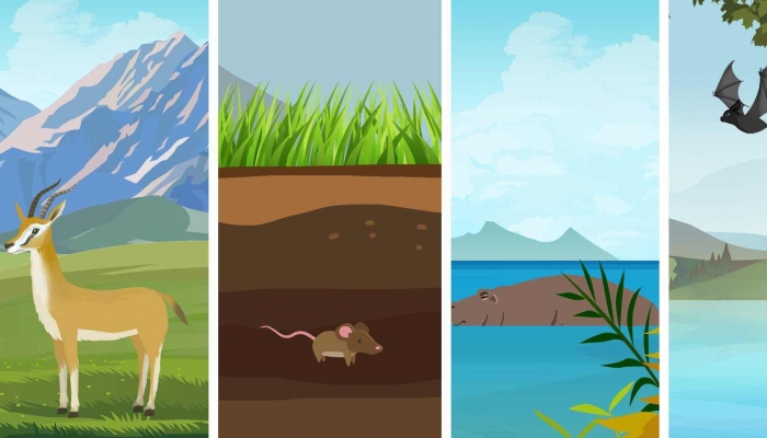 今天是国际生物多样性日 生物多样性对人类有什么意义