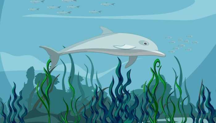 2023年国际生物多样性日是哪天 2023年国际生物多样性日主题