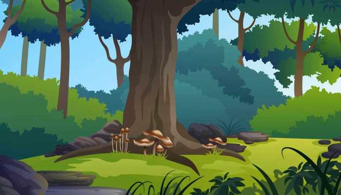 今天是国际生物多样性日 生物多样性对人类有什么意义