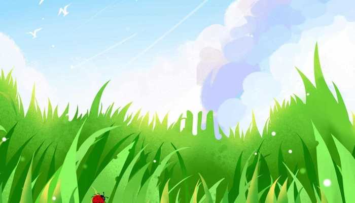 公众号取名大全 公众号名字推荐有创意一点的