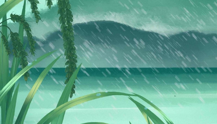 深圳今天暴雨转雷阵雨 今明两天仍有(雷)阵雨