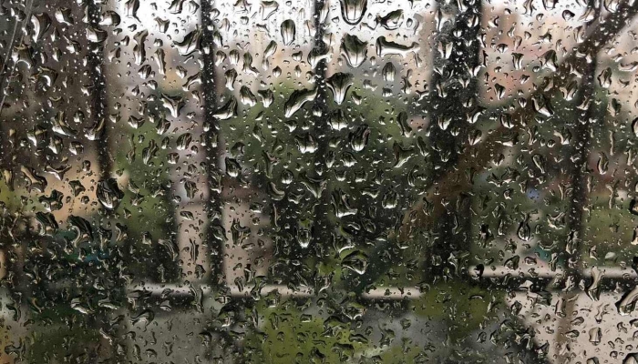 广州今日有雷阵雨局部大雨24℃到29℃ 本周都是雨雨雨