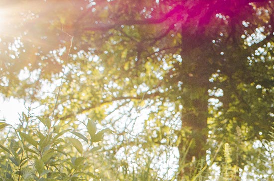 2023年几号入伏 2023年几号入伏