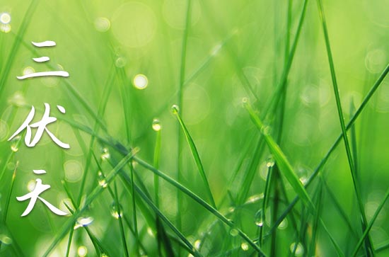 三伏天吃什么食物最好 三伏天怎么排湿气寒气