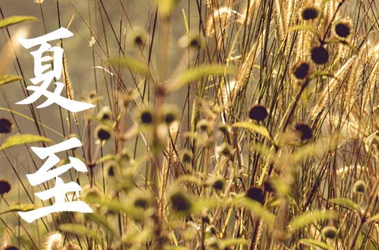 夏至的寓意和象征 夏至是入伏的开始吗