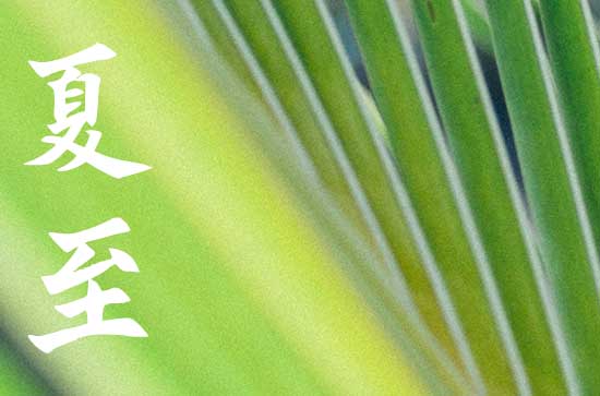 夏至节气吃什么食物 夏至节气的养生要点 夏至节气吃什么食物 夏至节气的养生要点