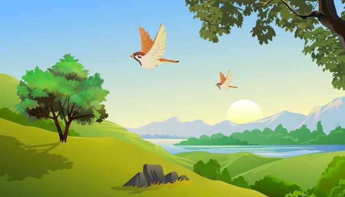 居民清理油烟机掏出一窝国家级宝宝 私自喂养野生的国家保护动物违法吗