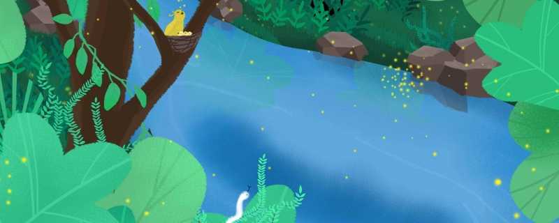 居民清理油烟机掏出一窝国家级宝宝 私自喂养野生的国家保护动物违法吗