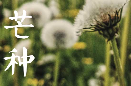 2023年芒种是哪一天,2023芒种是什么时候 2023年芒种是哪一天,2023芒种是什么时候