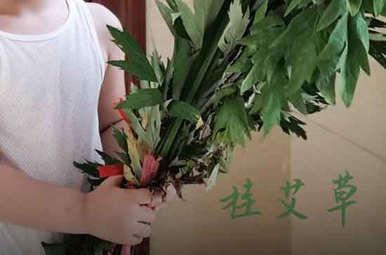 2023佛教端午节祝福微信祝福语 2023佛教端午节祝福微信祝福语