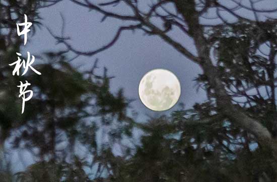 2023单位中秋祝福语大全篇二 2023单位中秋祝福语大全篇二